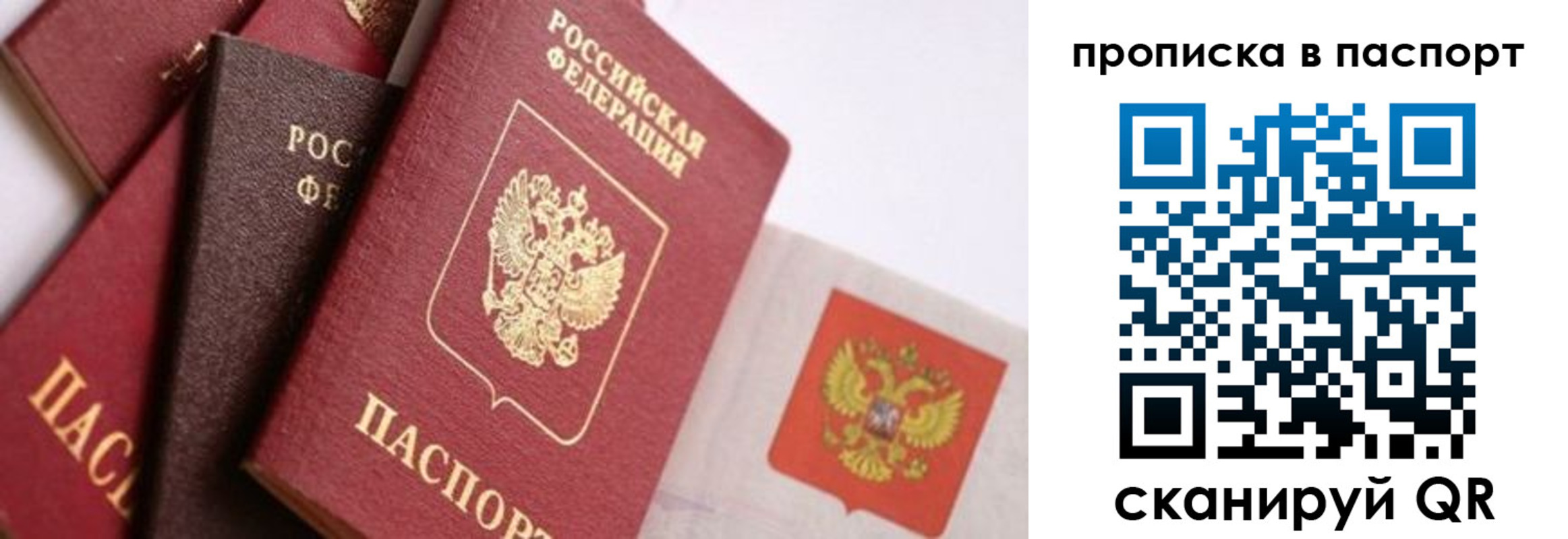 регистрация для школы в Александровске