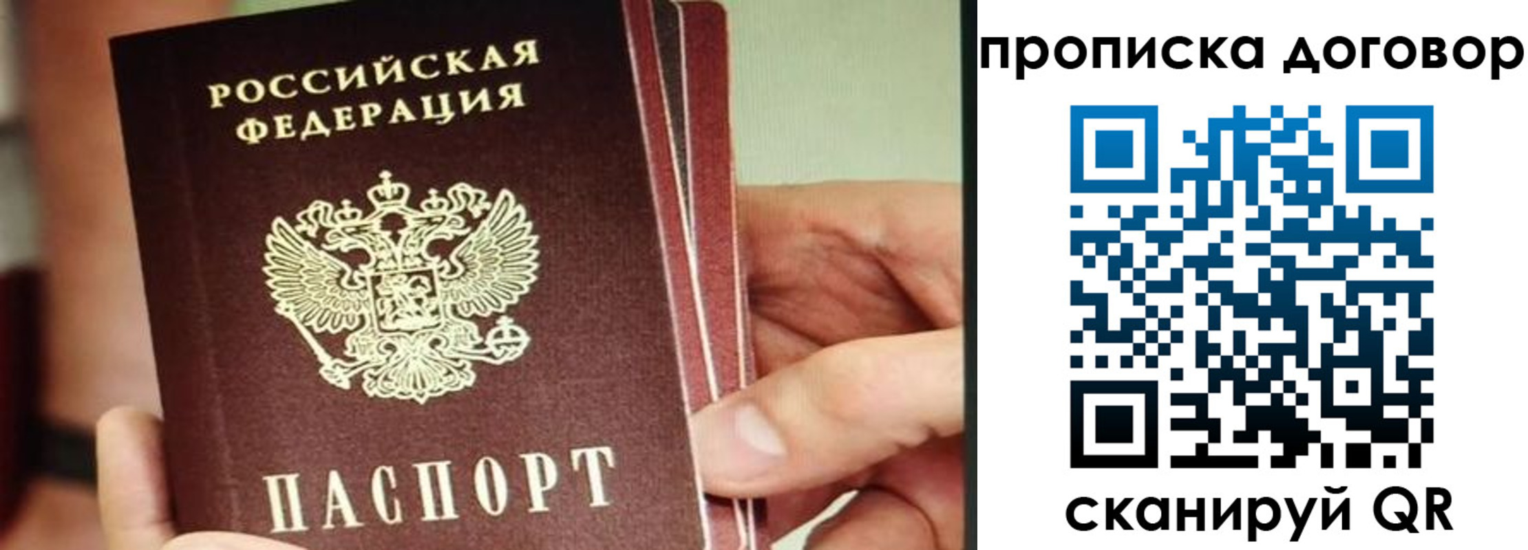 прописка в Александровске